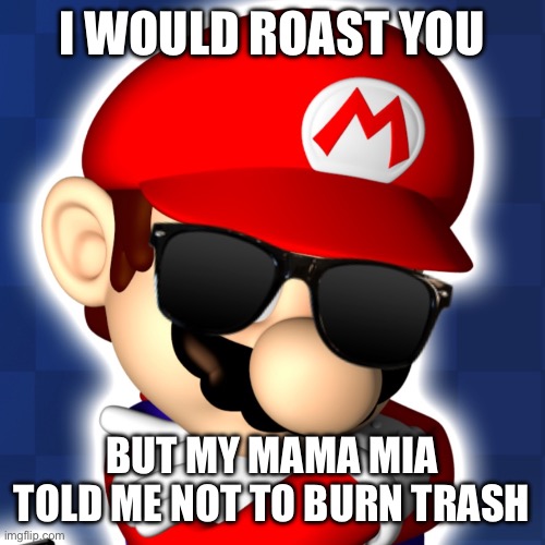 Mario con lentes (Mario Sunglasses) | I WOULD ROAST YOU BUT MY MAMA MIA TOLD ME NOT TO BURN TRASH | image tagged in mario con lentes mario sunglasses | made w/ Imgflip meme maker
