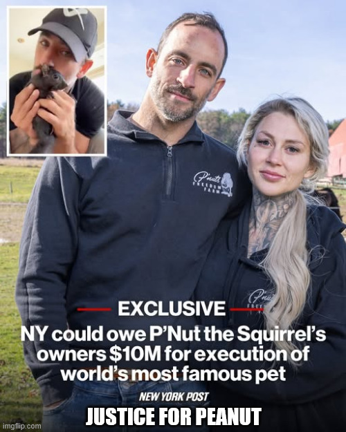 Justice for Peanut | JUSTICE FOR PEANUT | image tagged in ny,needs to pay | made w/ Imgflip meme maker