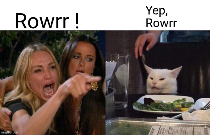 Woman Yelling At Cat Meme | Rowrr ! Yep, 
Rowrr | image tagged in memes,woman yelling at cat | made w/ Imgflip meme maker