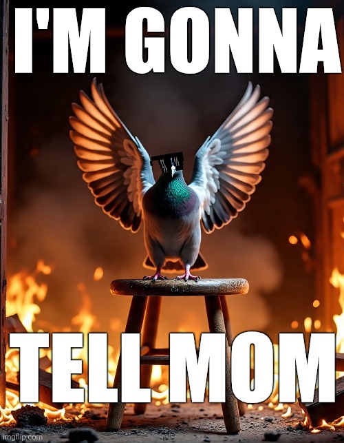 Stool Pigeon TELL MOM | I'M GONNA; TELL MOM | image tagged in funny,bird,birds,pigeon,thug life,epic battle | made w/ Imgflip meme maker