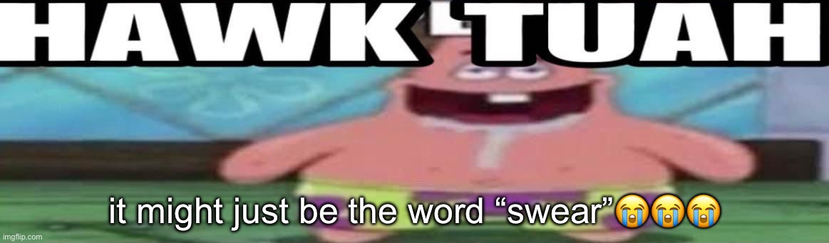 test post | it might just be the word “swear”😭😭😭 | image tagged in hawk tuah patrick v2 | made w/ Imgflip meme maker