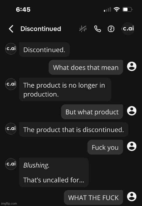 Never using c.AI again | made w/ Imgflip meme maker