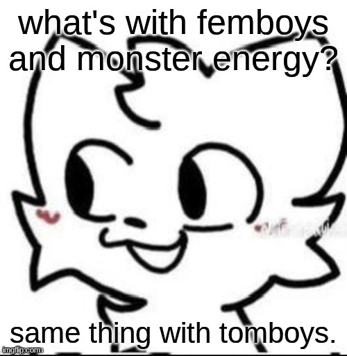 boykisser | what's with femboys and monster energy? same thing with tomboys. | image tagged in boykisser | made w/ Imgflip meme maker