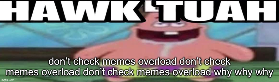 hawk tuah patrick v2 | don’t check memes overload don’t check memes overload don’t check memes overload why why why | image tagged in hawk tuah patrick v2 | made w/ Imgflip meme maker