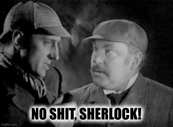 Holmes and Watson | NO SHIT, SHERLOCK! | image tagged in holmes and watson | made w/ Imgflip meme maker