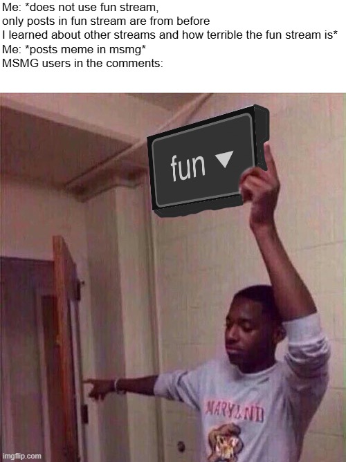 Go back to fun stream | Me: *does not use fun stream, only posts in fun stream are from before I learned about other streams and how terrible the fun stream is*
Me: *posts meme in msmg*
MSMG users in the comments: | made w/ Imgflip meme maker