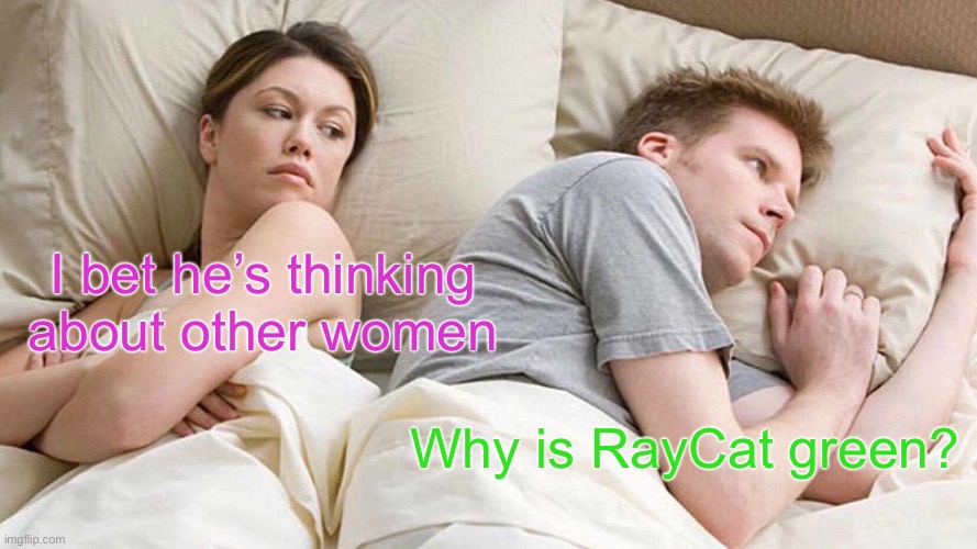 I Bet He's Thinking About Other Women | I bet he’s thinking about other women; Why is RayCat green? | image tagged in memes,i bet he's thinking about other women | made w/ Imgflip meme maker