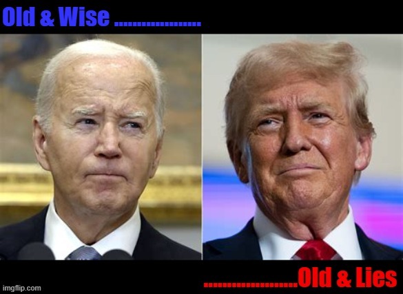 2 old guys | image tagged in 2 old guys,old and wise,old  and lies,old farts,same old lies,joe blow | made w/ Imgflip meme maker