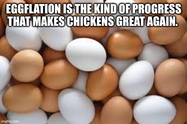 eggs | EGGFLATION IS THE KIND OF PROGRESS THAT MAKES CHICKENS GREAT AGAIN. | image tagged in eggs | made w/ Imgflip meme maker