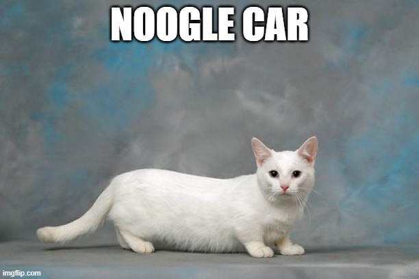 i want one of these but they so expensive ;-; | NOOGLE CAR | made w/ Imgflip meme maker