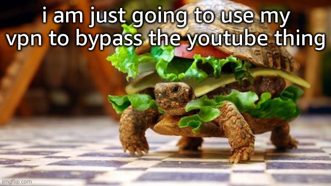 Tortoise sandwich | i am just going to use my vpn to bypass the youtube thing | image tagged in tortoise sandwich | made w/ Imgflip meme maker