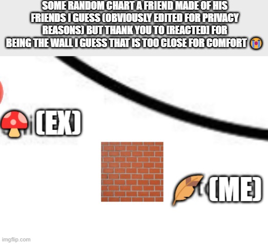 AUGH | SOME RANDOM CHART A FRIEND MADE OF HIS FRIENDS I GUESS (OBVIOUSLY EDITED FOR PRIVACY REASONS) BUT THANK YOU TO [REACTED] FOR BEING THE WALL I GUESS THAT IS TOO CLOSE FOR COMFORT 😭 | made w/ Imgflip meme maker