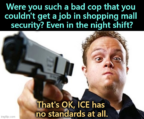 Were you such a bad cop that you 
couldn't get a job in shopping mall 
security? Even in the night shift? That's OK, ICE has 
no standards at all. | image tagged in ice,security,cop,deportation,family,incompetence | made w/ Imgflip meme maker