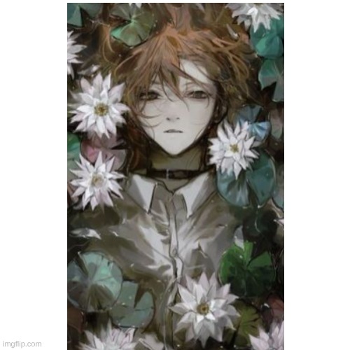 ... | image tagged in bsd | made w/ Imgflip meme maker