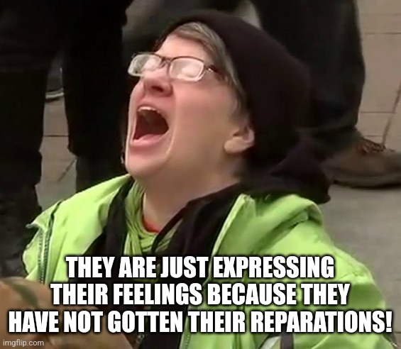 Crying liberal | THEY ARE JUST EXPRESSING THEIR FEELINGS BECAUSE THEY HAVE NOT GOTTEN THEIR REPARATIONS! | image tagged in crying liberal | made w/ Imgflip meme maker