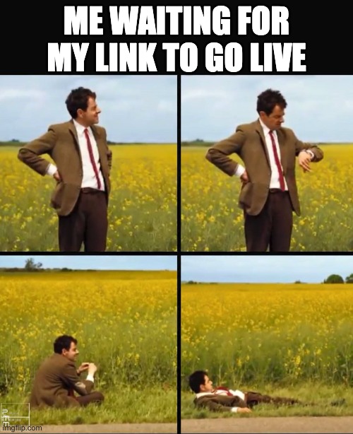 link building meme | ME WAITING FOR MY LINK TO GO LIVE | image tagged in mr bean waiting | made w/ Imgflip meme maker