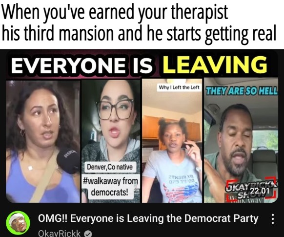 When you've earned your therapist his third mansion and he starts getting real | image tagged in democrats,funny,american politics,trump derangement syndrome | made w/ Imgflip meme maker