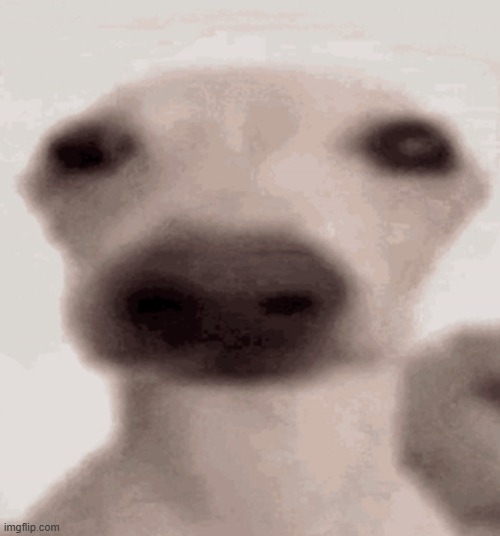 gm chat | image tagged in goofy dog | made w/ Imgflip meme maker