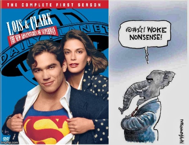 The casting of a half Japanese actor would be called a DEI hire today. | image tagged in woke nonsense,diversity,illegal immigration,conservative hypocrisy,superman  lois problems | made w/ Imgflip meme maker