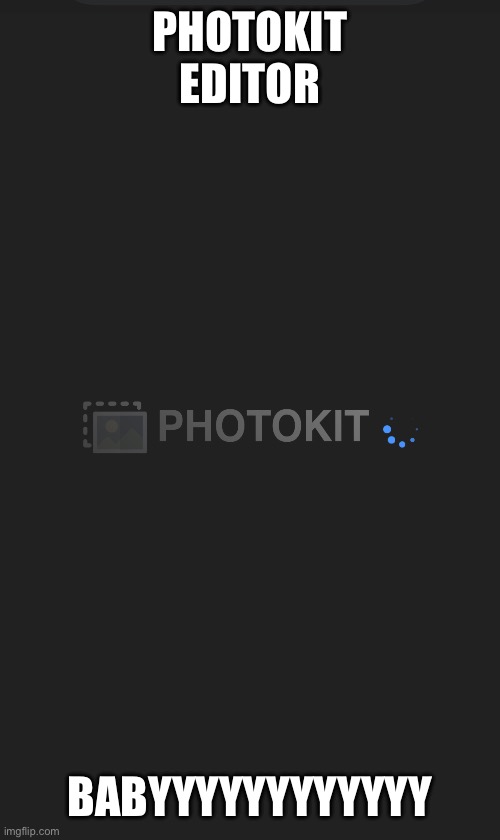 PHOTOKIT EDITOR BABYYYYYYYYYYYY | made w/ Imgflip meme maker