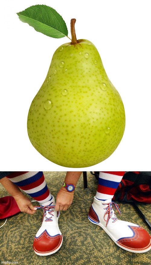 I thought you said pear of shoe | image tagged in pear,clown shoes | made w/ Imgflip meme maker