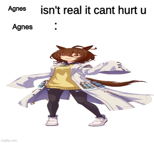 x isn't real | Agnes; Agnes | image tagged in x isn't real | made w/ Imgflip meme maker