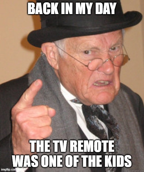 Back In My Day Meme | BACK IN MY DAY THE TV REMOTE WAS ONE OF THE KIDS | image tagged in memes,back in my day | made w/ Imgflip meme maker
