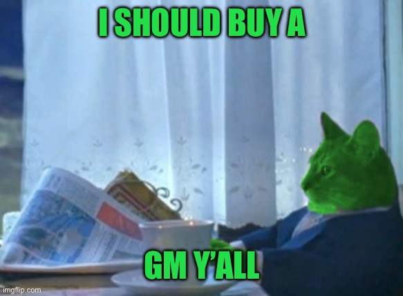 I Should Buy a Boat RayCat | I SHOULD BUY A; GM Y’ALL | image tagged in i should buy a boat raycat | made w/ Imgflip meme maker