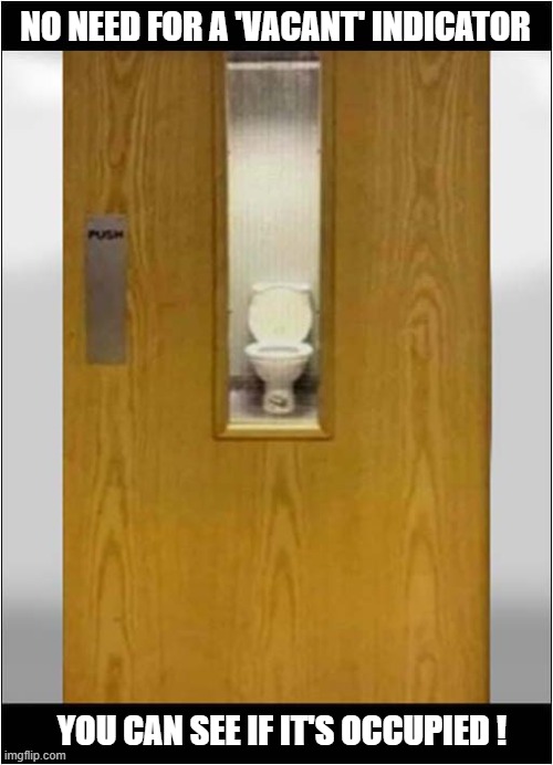 I Wouldn't Go In There ! | NO NEED FOR A 'VACANT' INDICATOR; YOU CAN SEE IF IT'S OCCUPIED ! | image tagged in toilet humour,visibility,dark humour | made w/ Imgflip meme maker
