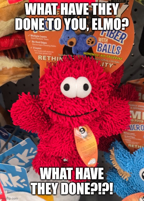 Elmo doesn't feel so good... | WHAT HAVE THEY DONE TO YOU, ELMO? WHAT HAVE THEY DONE?!?! | image tagged in elmo,sesame street | made w/ Imgflip meme maker