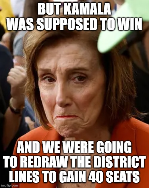 pelosi cry | BUT KAMALA WAS SUPPOSED TO WIN AND WE WERE GOING TO REDRAW THE DISTRICT LINES TO GAIN 40 SEATS | image tagged in pelosi cry | made w/ Imgflip meme maker