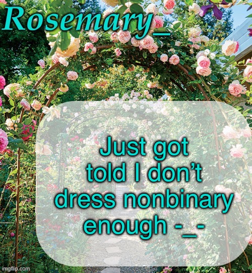 I wanted to dress feminine today, sorry that offends you | Just got told I don’t dress nonbinary enough -_- | image tagged in rosemary_ template | made w/ Imgflip meme maker