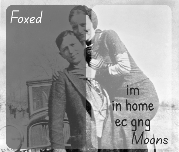 Foxed n Moons - Bonnie and Clyde temp | im in home ec gng | image tagged in foxed n moons - bonnie and clyde temp | made w/ Imgflip meme maker