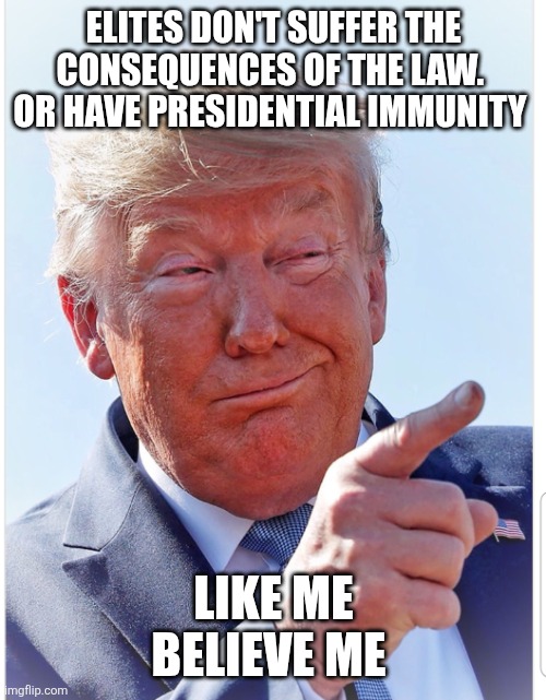 Trump pointing | ELITES DON'T SUFFER THE CONSEQUENCES OF THE LAW. 
OR HAVE PRESIDENTIAL IMMUNITY LIKE ME
BELIEVE ME | image tagged in trump pointing | made w/ Imgflip meme maker