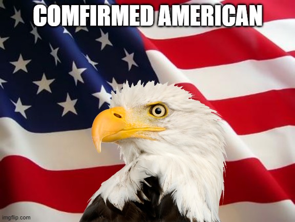 American flag | COMFIRMED AMERICAN | image tagged in american flag | made w/ Imgflip meme maker