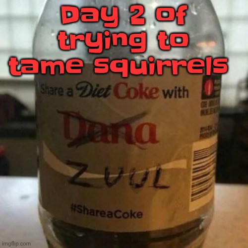 there is no diet, only zero | Day 2 of trying to tame squirrels | image tagged in there is no diet only zero | made w/ Imgflip meme maker