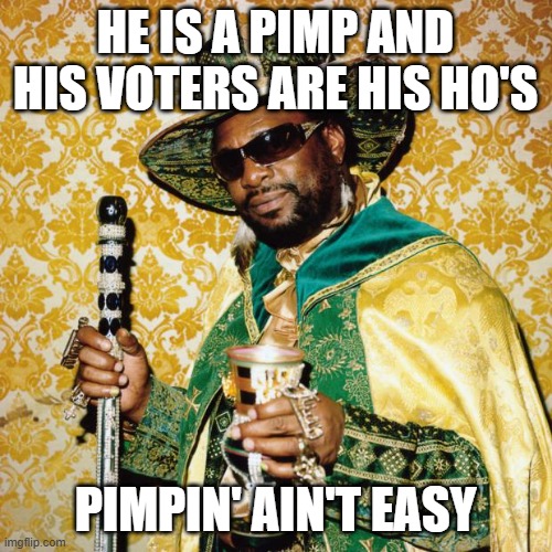Pimp Don Magic Juan | HE IS A PIMP AND HIS VOTERS ARE HIS HO'S PIMPIN' AIN'T EASY | image tagged in pimp don magic juan | made w/ Imgflip meme maker