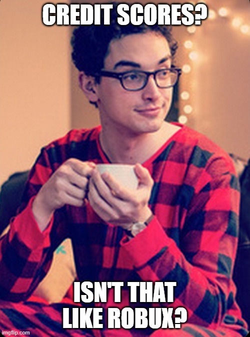 Gen z soy boy | CREDIT SCORES? ISN'T THAT LIKE ROBUX? | image tagged in gen z soy boy | made w/ Imgflip meme maker