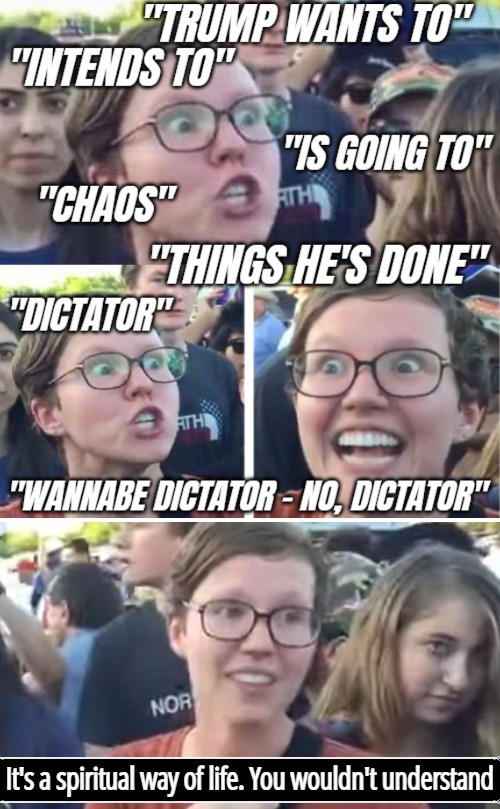 image tagged in funny,democrats,triggered liberal,american politics,trump derangement syndrome | made w/ Imgflip meme maker