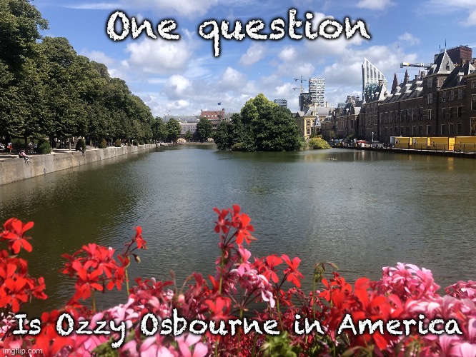 Roses | One question; Is Ozzy Osbourne in America | image tagged in roses | made w/ Imgflip meme maker