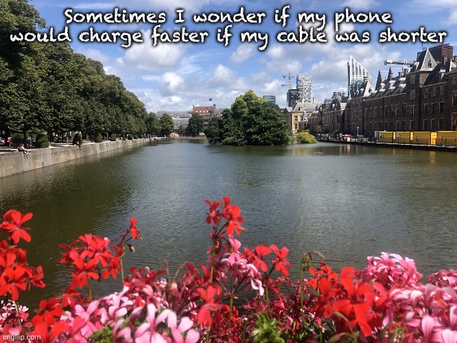 Roses | Sometimes I wonder if my phone would charge faster if my cable was shorter | image tagged in roses | made w/ Imgflip meme maker