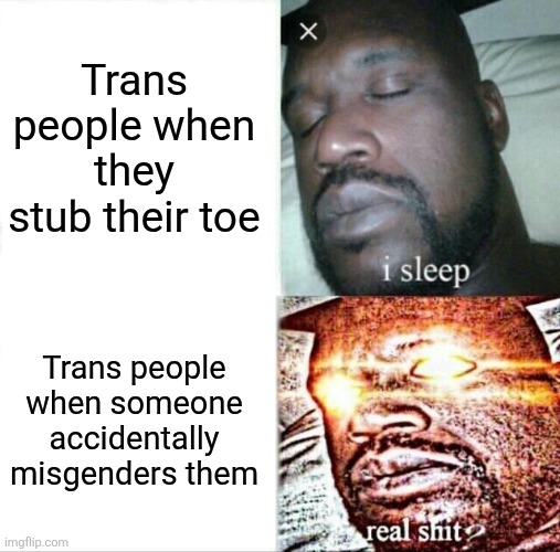 Take that clown Lily Tino for example | Trans people when they stub their toe; Trans people when someone accidentally misgenders them | image tagged in memes,sleeping shaq | made w/ Imgflip meme maker