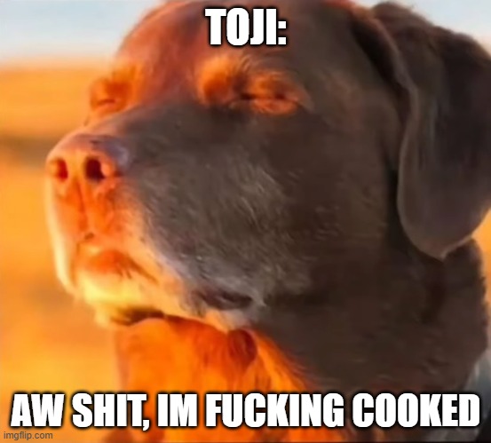 Im cooked | TOJI: AW SHIT, IM FUCKING COOKED | image tagged in im cooked | made w/ Imgflip meme maker