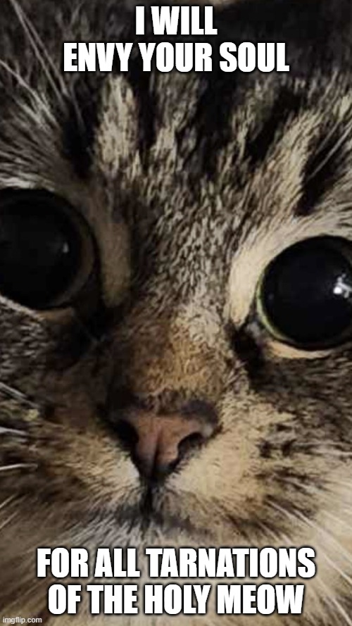 Creepy Cat | I WILL ENVY YOUR SOUL; FOR ALL TARNATIONS OF THE HOLY MEOW | image tagged in creepycat | made w/ Imgflip meme maker