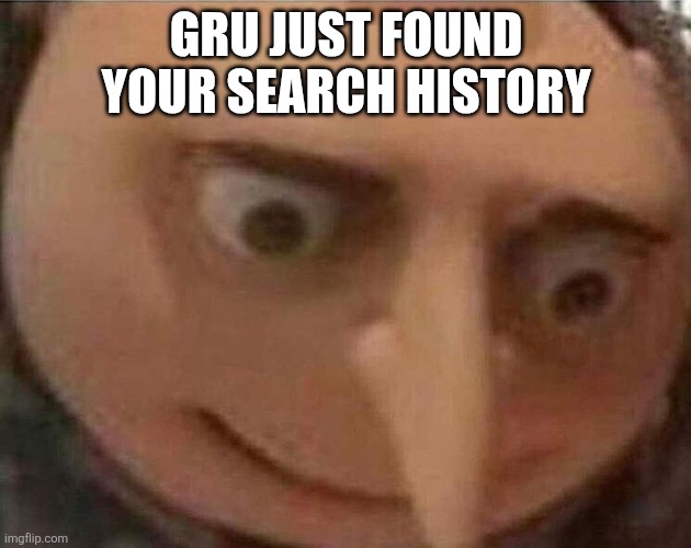gru meme | GRU JUST FOUND YOUR SEARCH HISTORY | image tagged in gru meme | made w/ Imgflip meme maker
