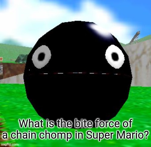This question popped into mind | What is the bite force of a chain chomp in Super Mario? | image tagged in chain chomp | made w/ Imgflip meme maker