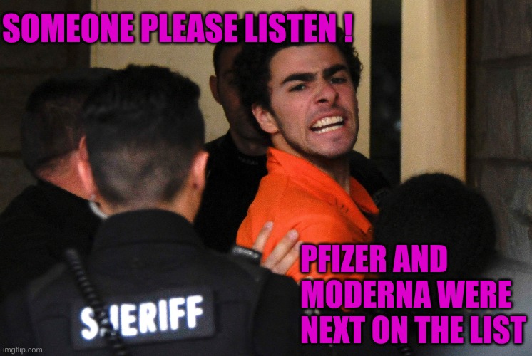 Next time target the real criminals | SOMEONE PLEASE LISTEN ! PFIZER AND MODERNA WERE NEXT ON THE LIST | image tagged in luigi mangione | made w/ Imgflip meme maker