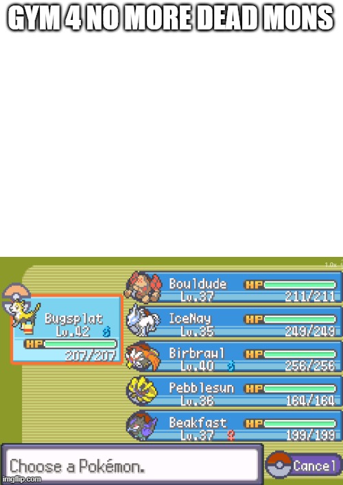 gym4 | GYM 4 NO MORE DEAD MONS | image tagged in gym4,pokemon,nuzlock | made w/ Imgflip meme maker