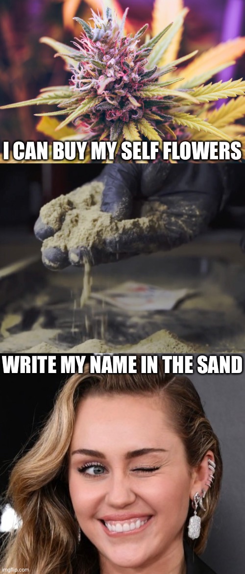 Unexpected Terrible Puns | I CAN BUY MY SELF FLOWERS; WRITE MY NAME IN THE SAND | image tagged in miley cyrus,weed,marijuana,terrible puns,cannabis,stoner phd | made w/ Imgflip meme maker