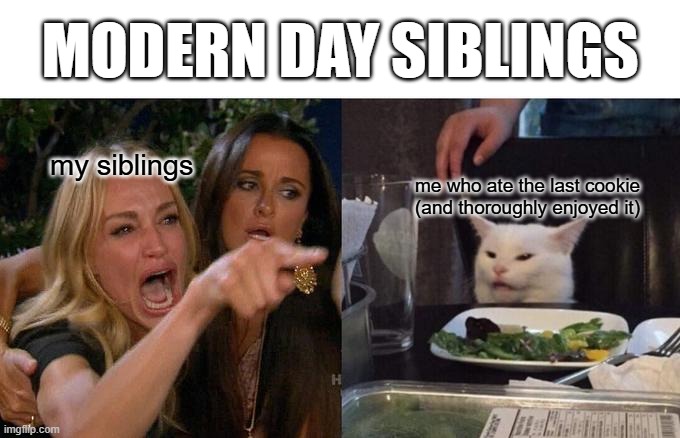 Cookie | MODERN DAY SIBLINGS; my siblings; me who ate the last cookie (and thoroughly enjoyed it) | image tagged in memes,woman yelling at cat | made w/ Imgflip meme maker
